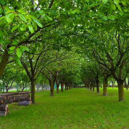Feriehus Green Muc