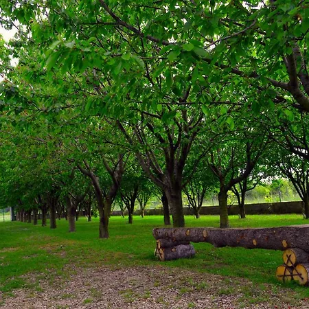 بيت للعطل Green *