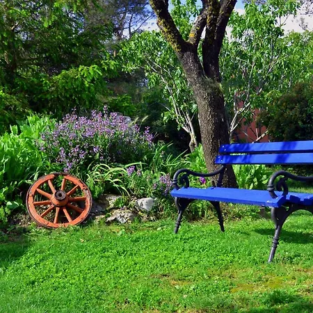 Green بيت للعطل *